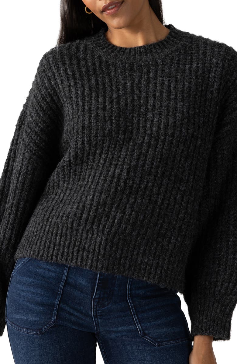 Sanctuary Fuzzy Volume Sleeve Sweater, Alternate, color, 