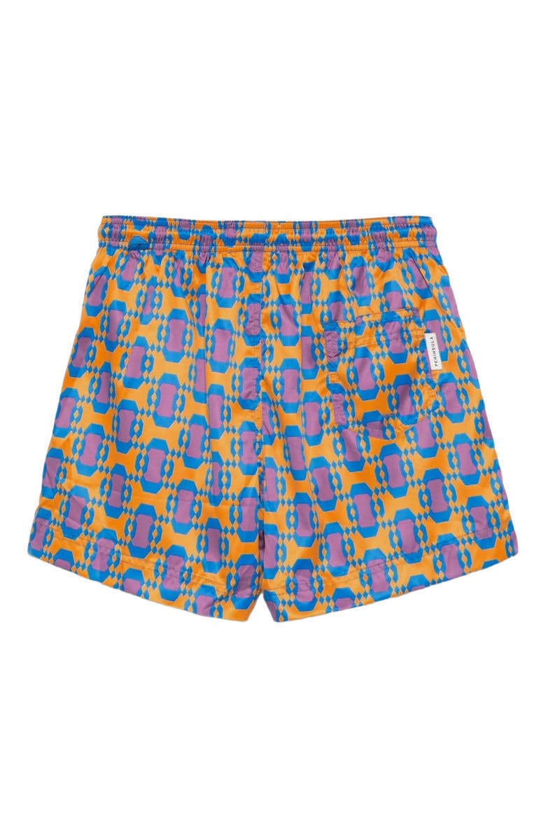 Peninsula Swimwear Tangeri Swim Shorts, Alternate, color, Multicolor