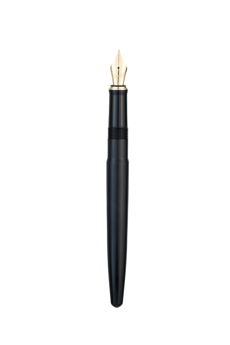 Skyline Fountain Pen, Alternate, color, Black Gold Medium