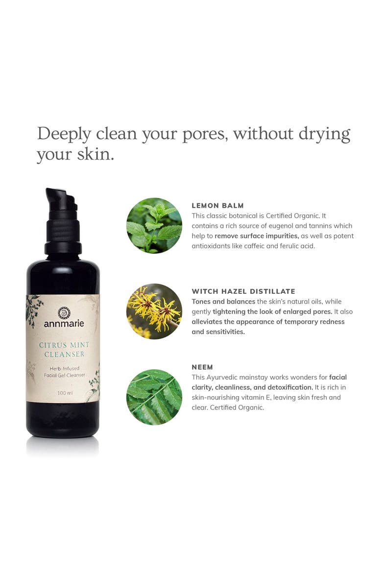 Citrus Mint Cleanser, Alternate, color, No Color