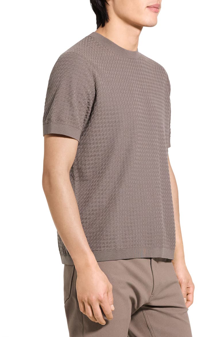 Damian Tactile Crewneck T-Shirt, Alternate, color, MOREL