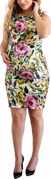 Emilia George Elizabeth Floral Silk Blend Sheath Dress