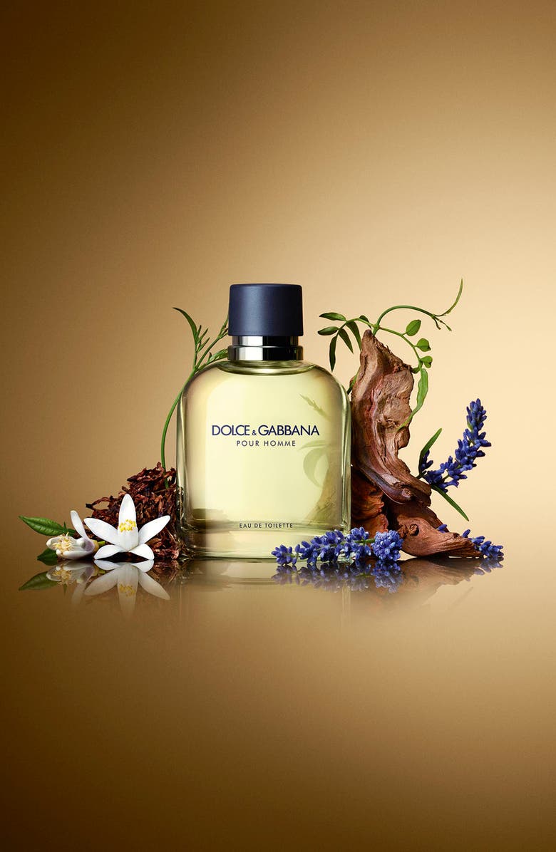 Dolce&Gabbana Pour Homme Eau de Toilette, Alternate, color,