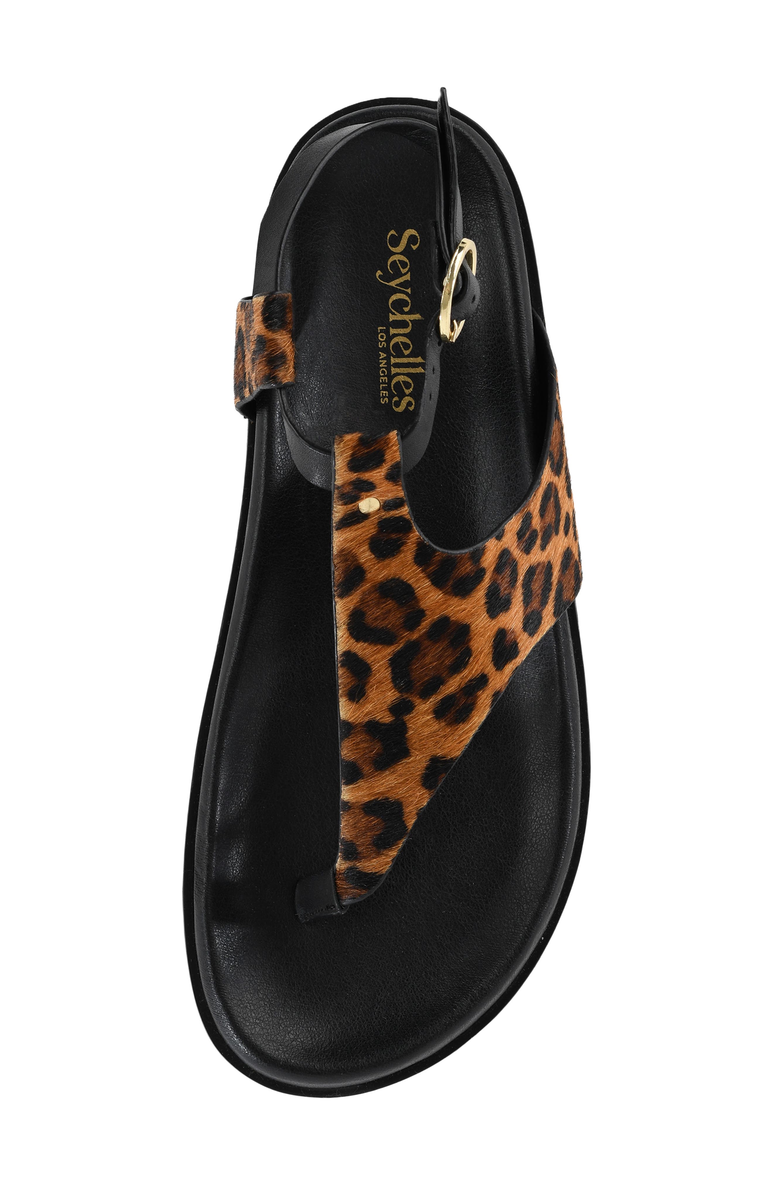 Seychelles In the Zone Ankle Strap Platform Sandal, Alternate, color, Leopard