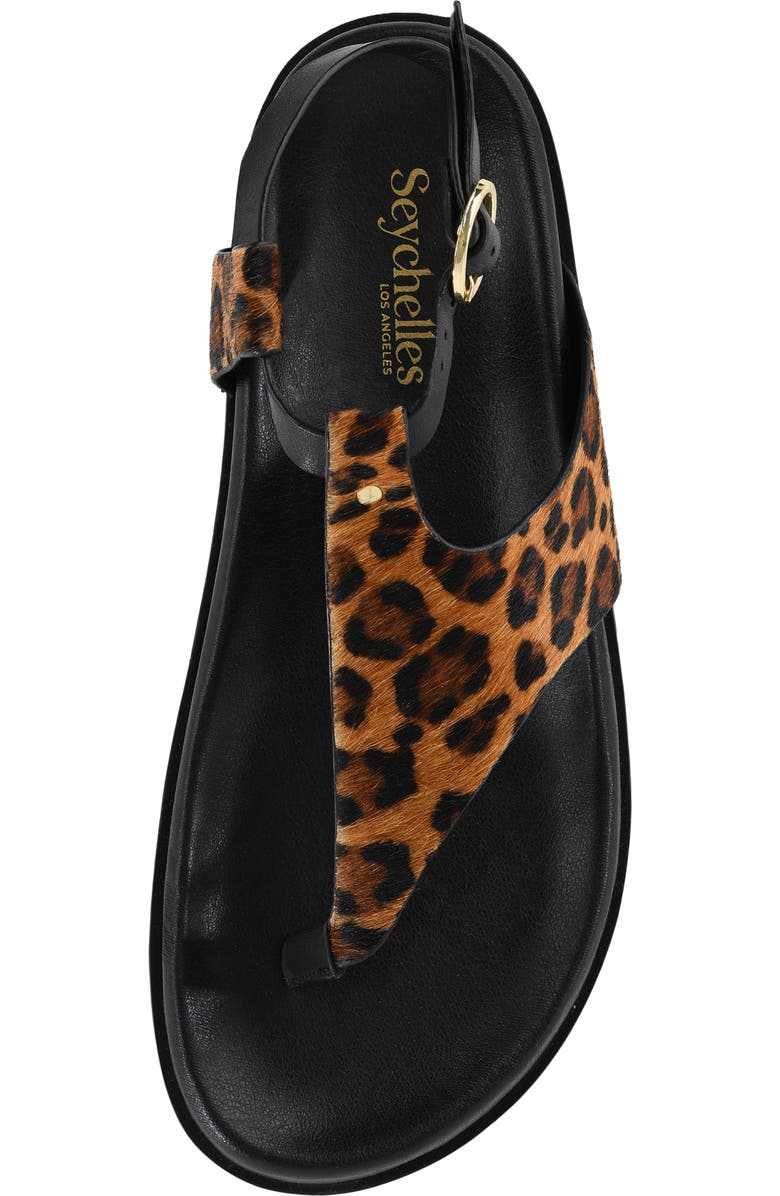 Seychelles In the Zone Ankle Strap Platform Sandal, Alternate, color, Leopard