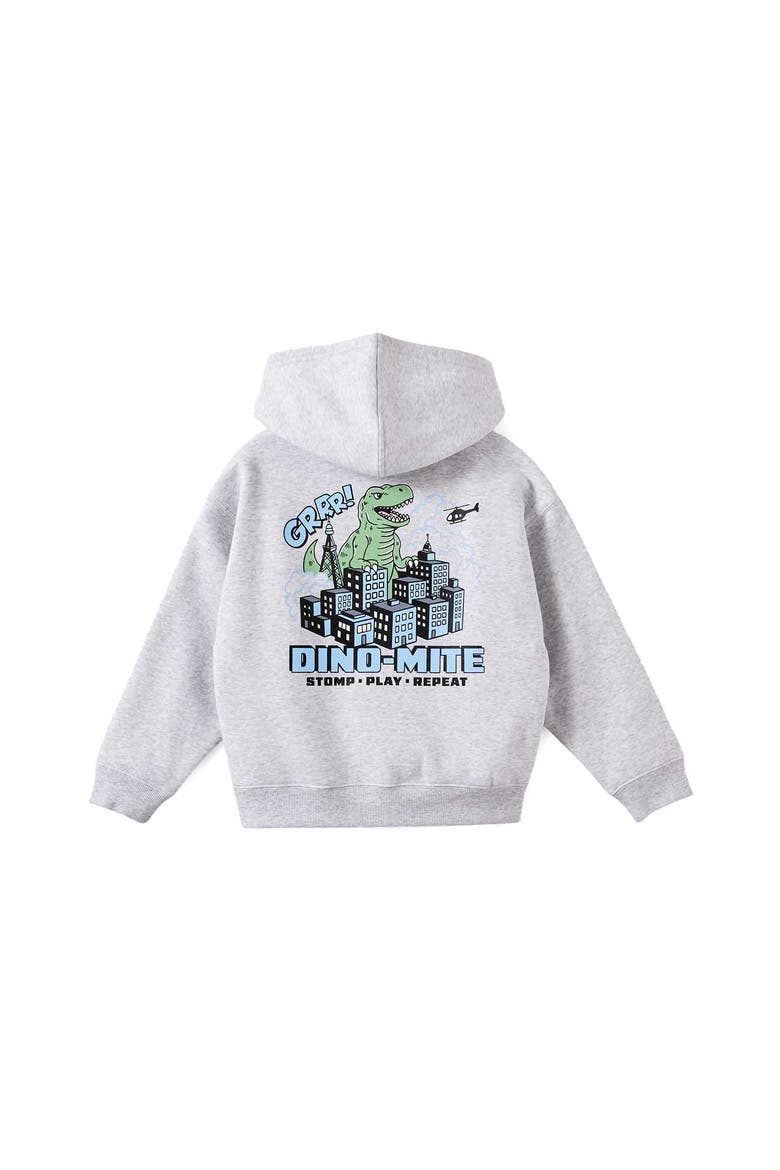 Kid's Sammy Box Fit Hoodie, Alternate, color, Grey Marle Dino