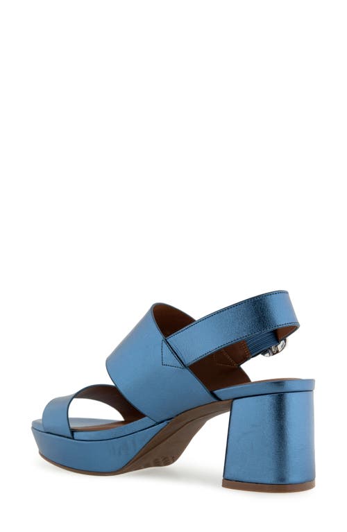 AEROSOLES AEROSOLES CAMERA PLATFORM SANDAL 