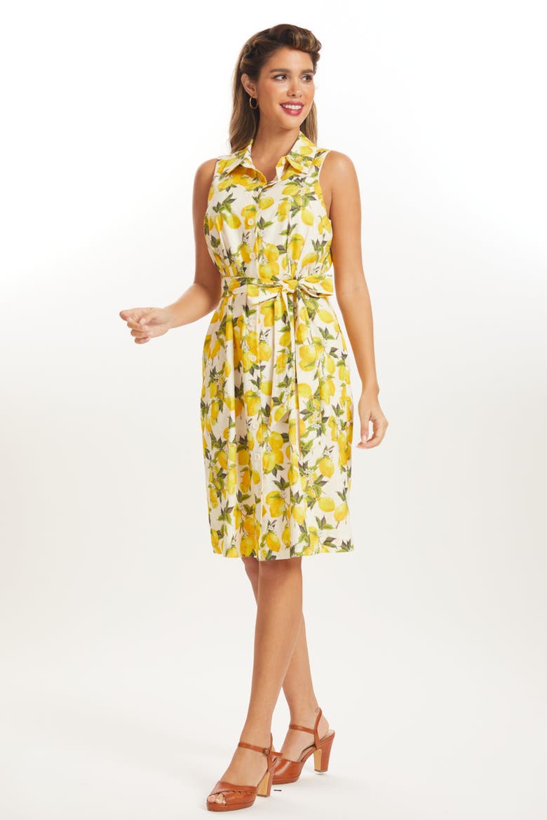 Can't Slow My Roll Shirt Dress with Pockets, Main, color, Lemon Spritz