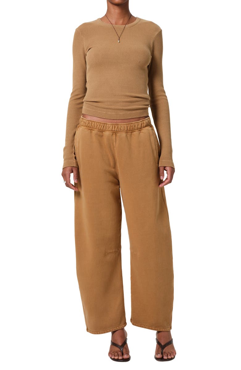 Citizens of Humanity Bina Rib Crewneck Sweater, Alternate, color, Marcona