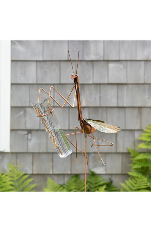 Haw Creek Forge Praying Mantis Rain Gauge In Brown