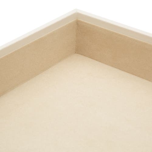 Wolf Vault 2" Deep Tray
