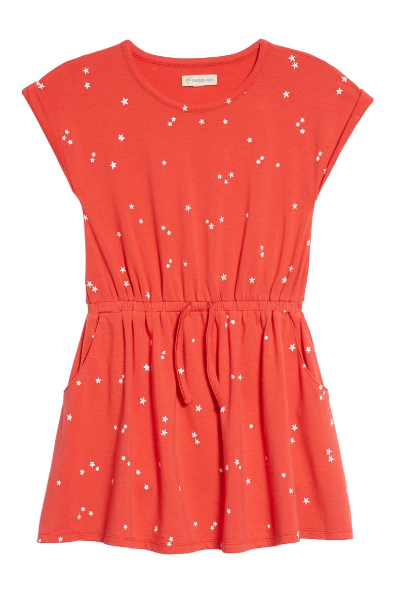 Print Skater Dress, Main, color, RED TOMATO SCATTERED STARS