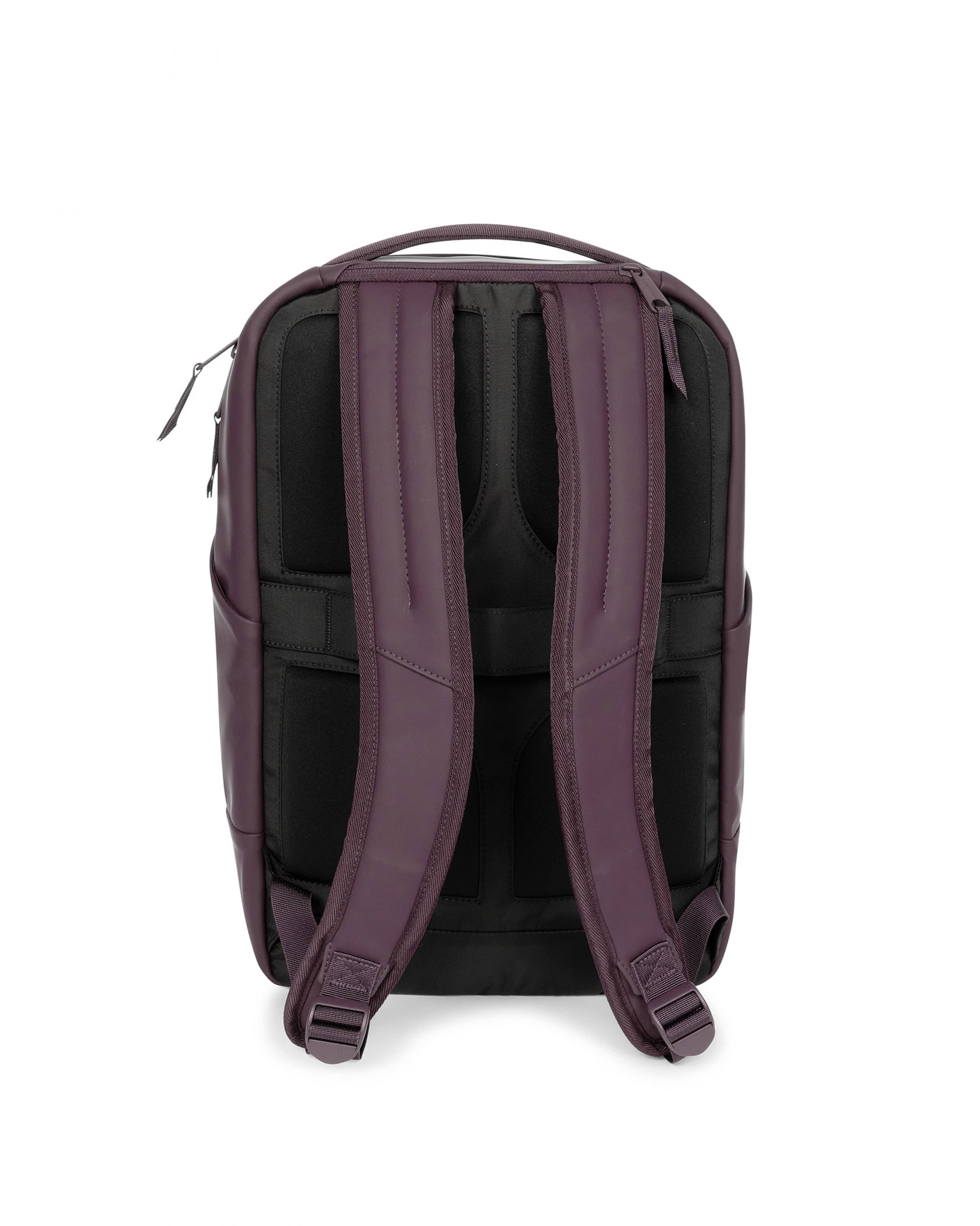 Tecum F Cnnct F Backpack, Alternate, color, Fig