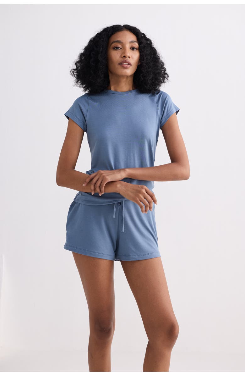 Reistor Regular Fit Essential Short Sleeve Tee Set, Alternate, color, Blue