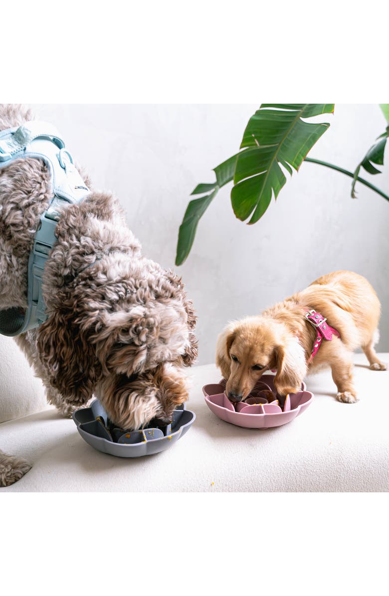 Dexypaws Slow Feeder, Alternate, color,