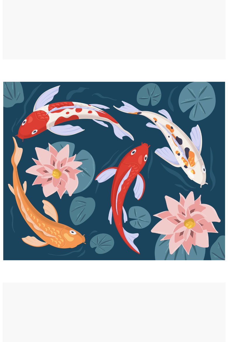 Koi Fish Paint by Numbers Kit, Alternate, color, Multicolor