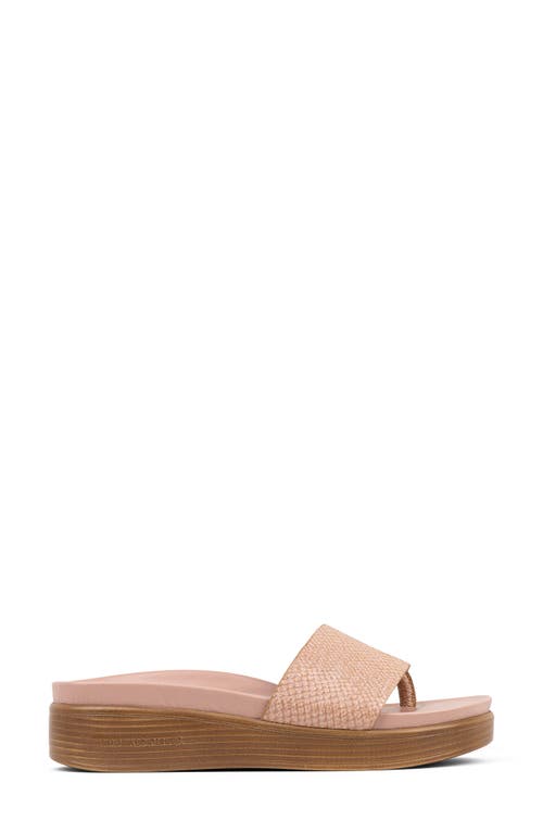 Donald Pliner Fifi Platform Wedge Flip Flop In Rosette