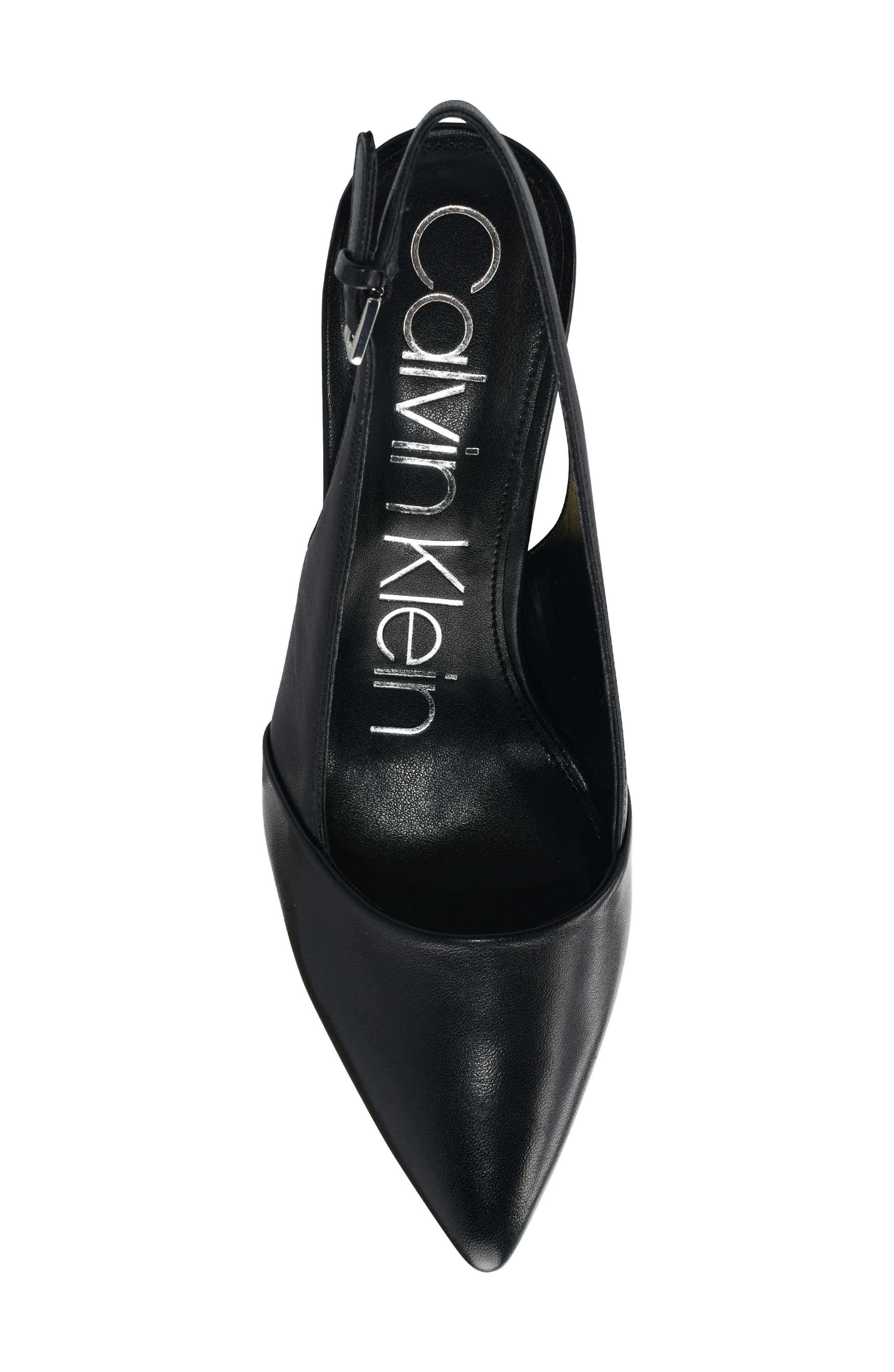 Calvin Klein Silvia Slingback Pointed Toe Pump, Alternate, color, 