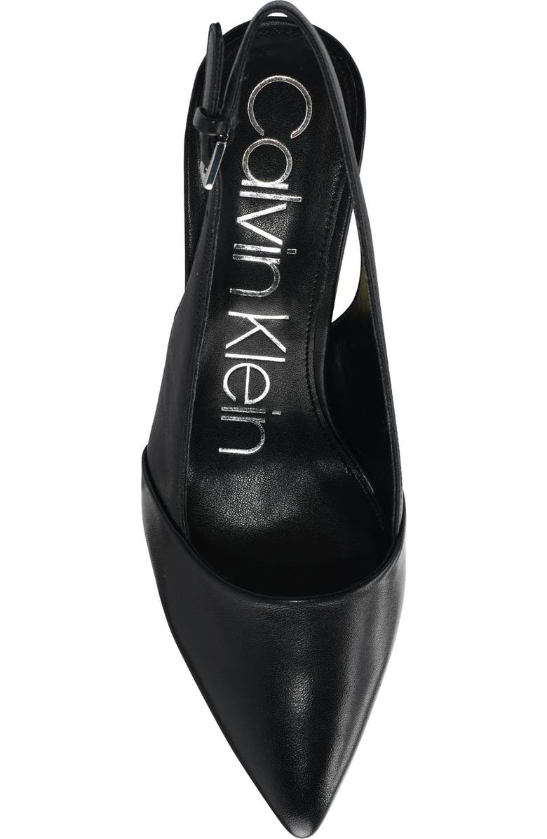 Calvin Klein Silvia Slingback Pointed Toe Pump, Alternate, color,