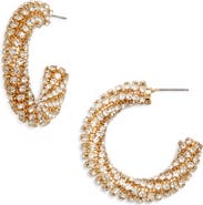 Tasha Crystal Hoop Earrings