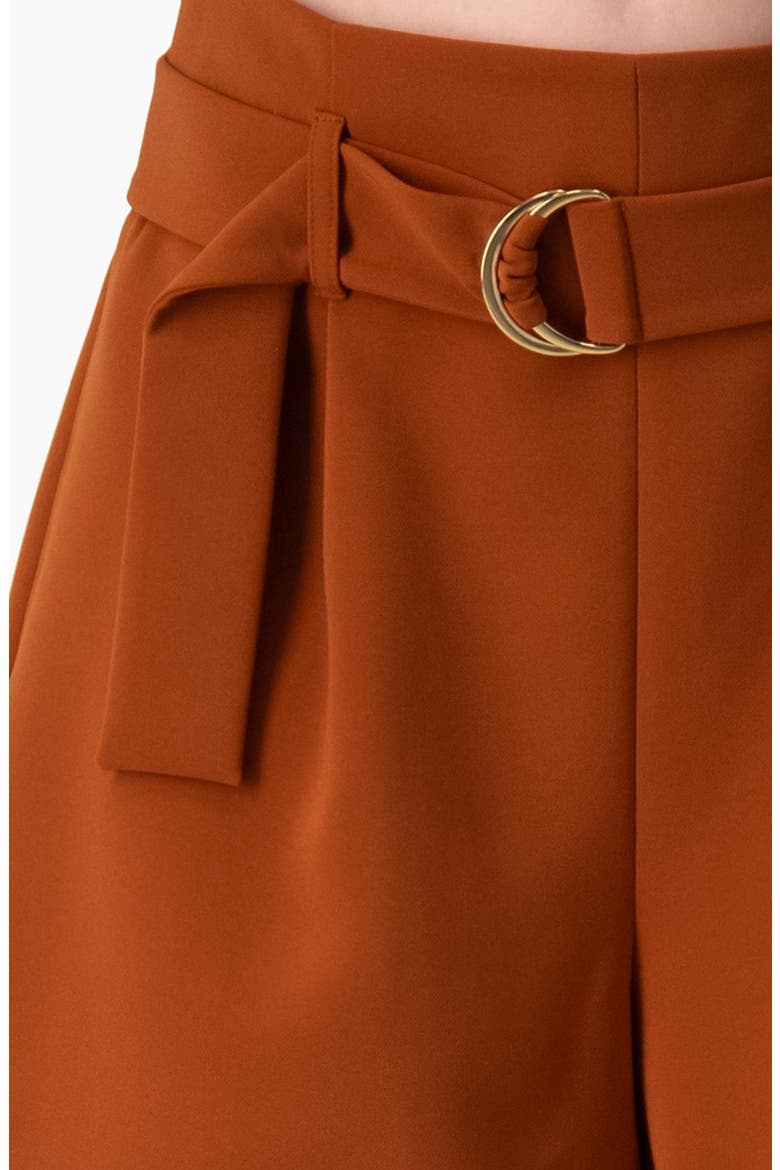 High-Rise Tailored Shorts with Removable Belt, Alternate, color, Chedron