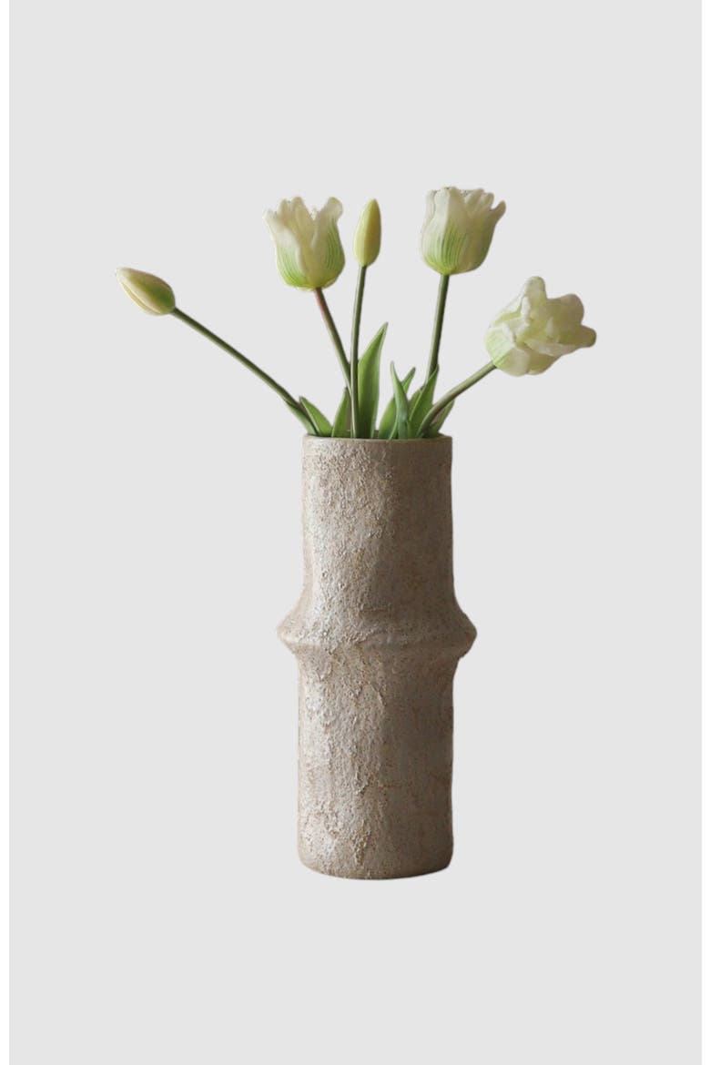 White Triumph Tulips, Main, color, White