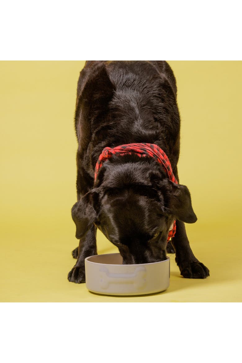 Embossed Bone Dog Bowl, 8 Inch,  50.7oz, Food and Water Dish, Alternate, color, Gray