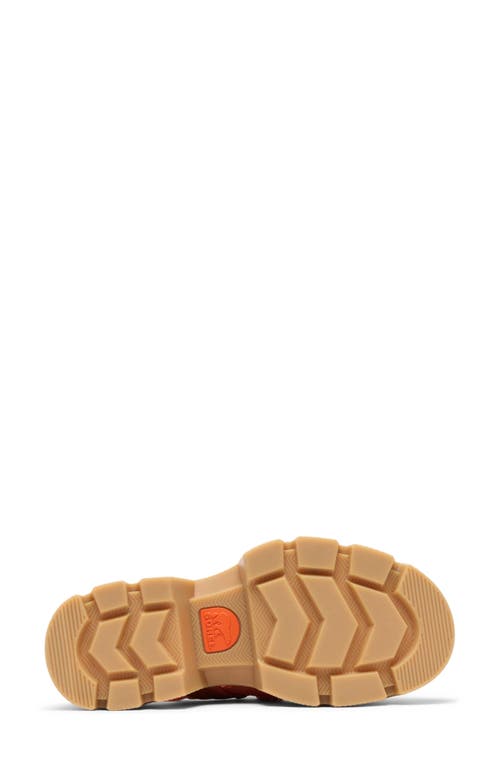 Sorel Rein Cb™ Lace-up Platform Sandal In Tuscan/gum