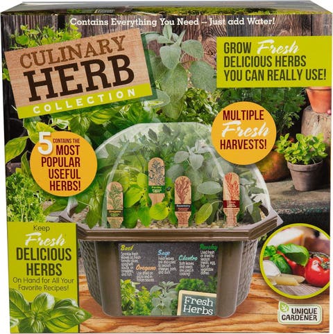Herb Garden Starter Kit - Indoor Grow Fresh Cooking Herbs Kit with Seeds, Soil, Planter