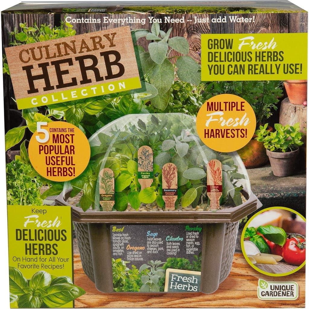 Unique Gardener Herb Garden Starter Kit - Indoor Grow Fresh Cooking Herbs Kit with Seeds, Soil, Planter in None at Nordstrom