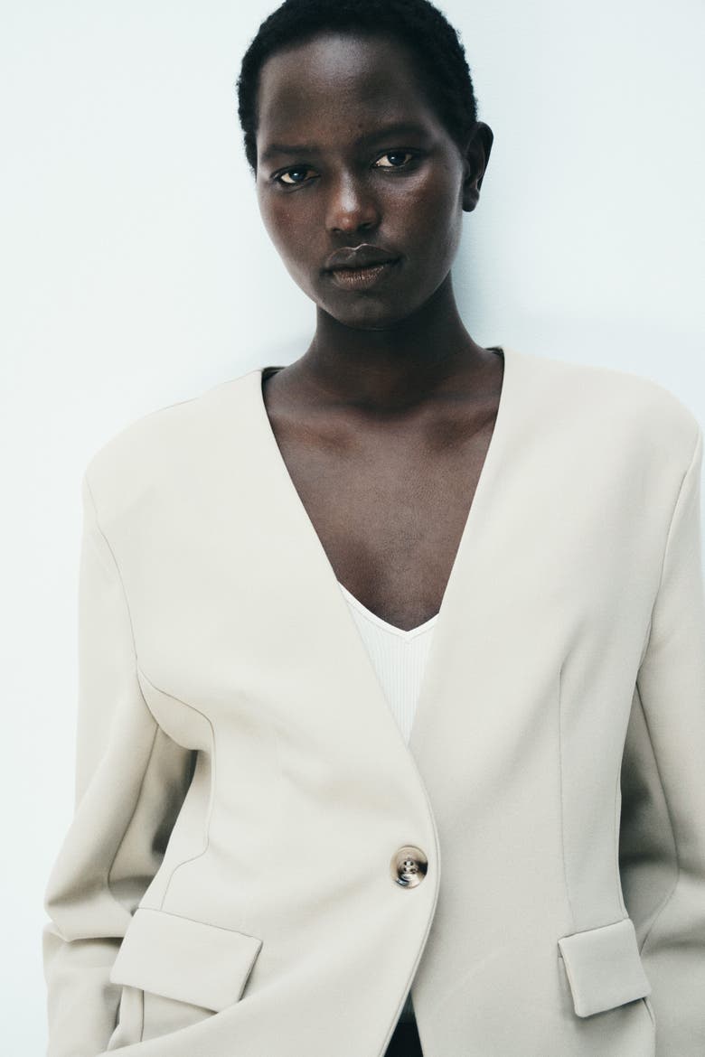 Collarless Jersey Blazer, Alternate, color, Beige