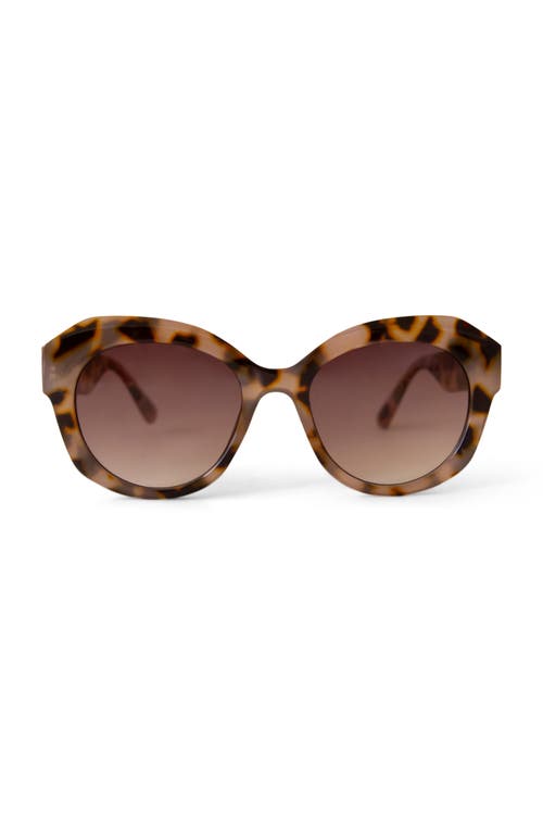 Sunshine Studios Donna Sunglasses In Brown
