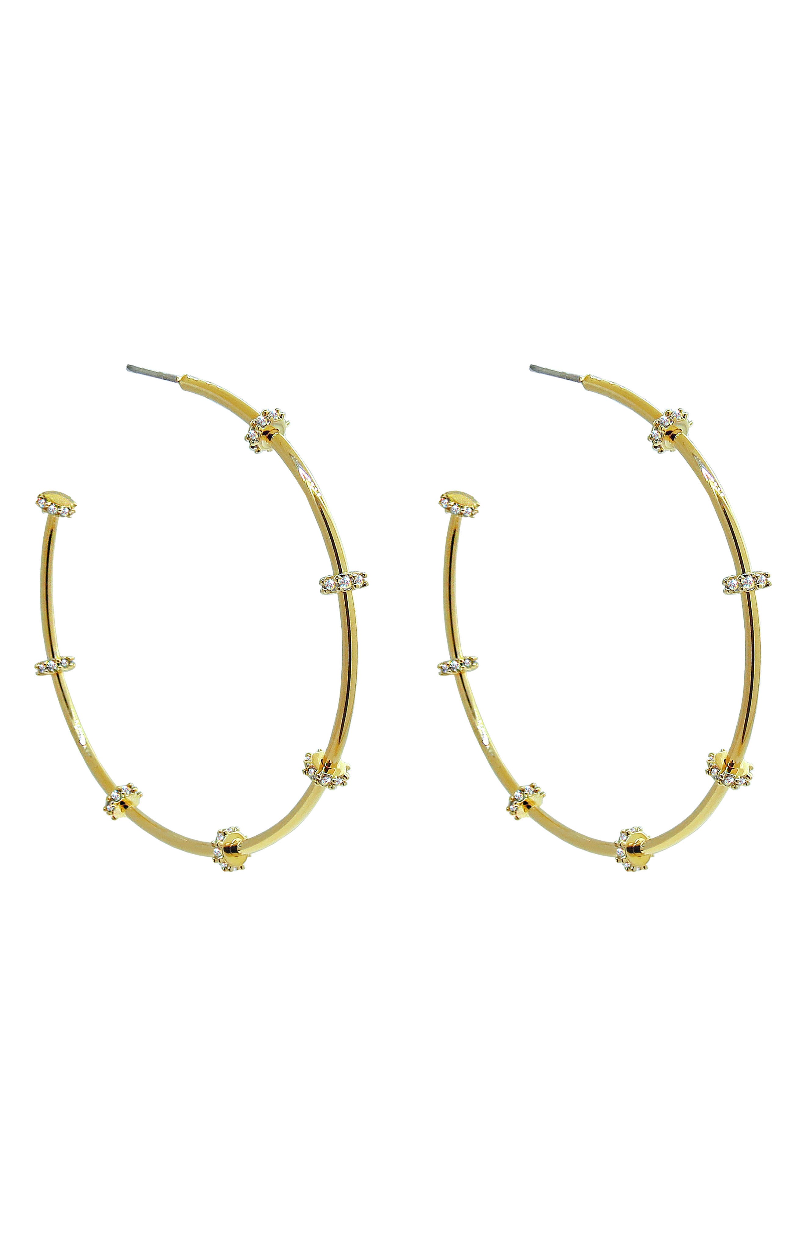 Liza Schwartz Cubic Zirconia Station Hoop Earrings