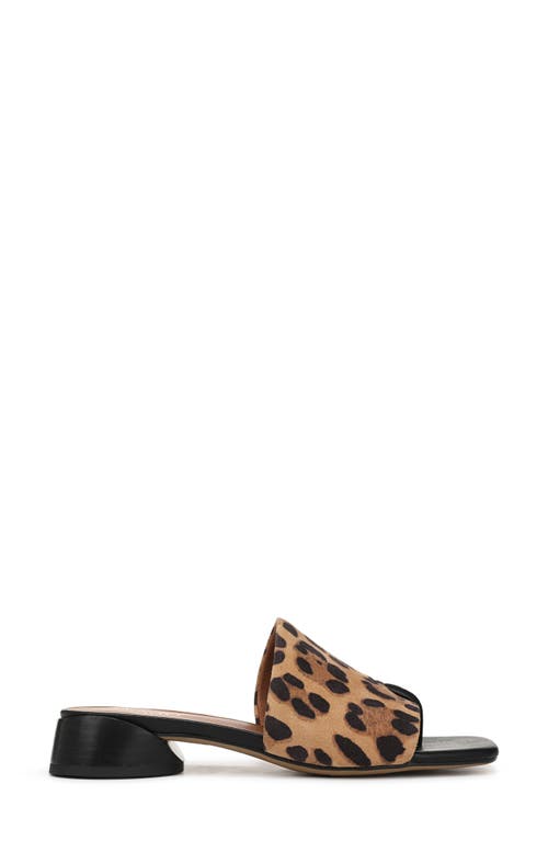 FRANCO SARTO FRANCO SARTO LORAN SANDAL
