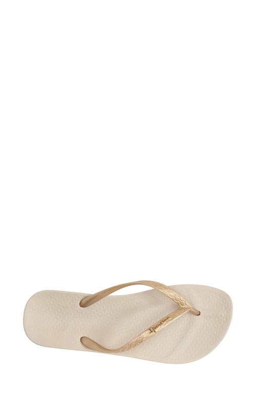 Ipanema Anatomica Tan Gold Flip Flops In Beige/gold