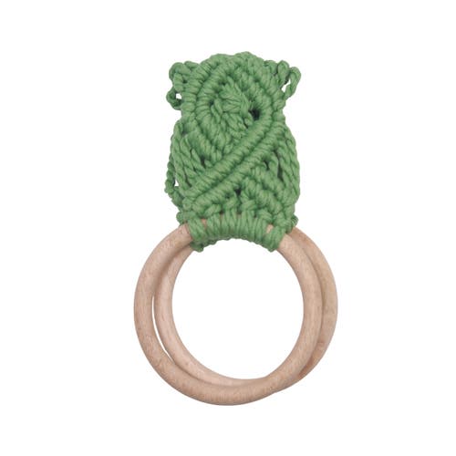 Carol & Frank Succulent Kitchen Towel Holder In Green