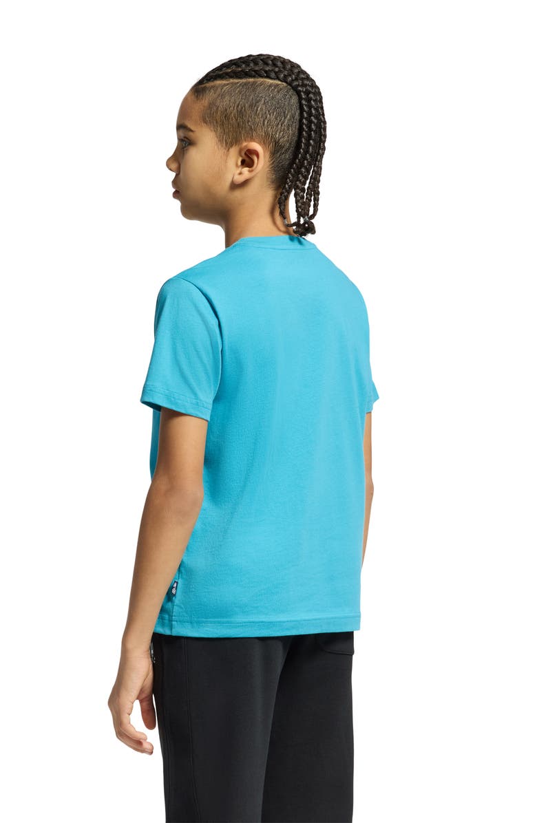 Psycho Bunny Kids' Durango Embroidered T-Shirt, Alternate, color, 