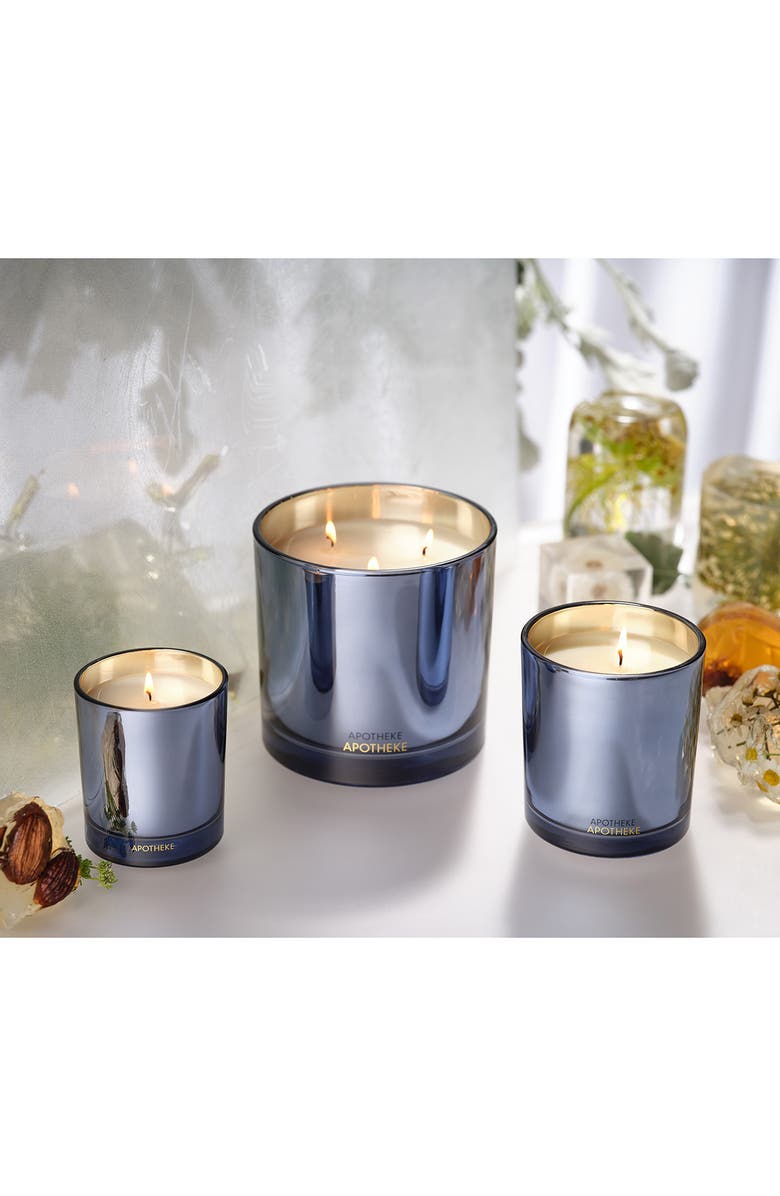 APOTHEKE Cardamom Chestnut Three-Wick Scented Candle, Alternate, color, Light Blue