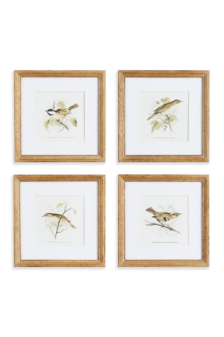 Perching Bird Study Petite Set of 4, Main, color, Green