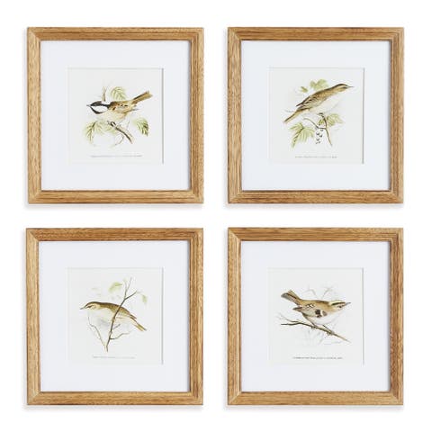 Perching Bird Study Petite Set of 4
