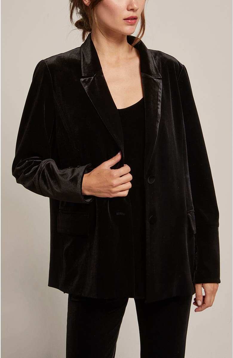 CRESCENT Single Breasted Velvet Blazer, Alternate, color, Black