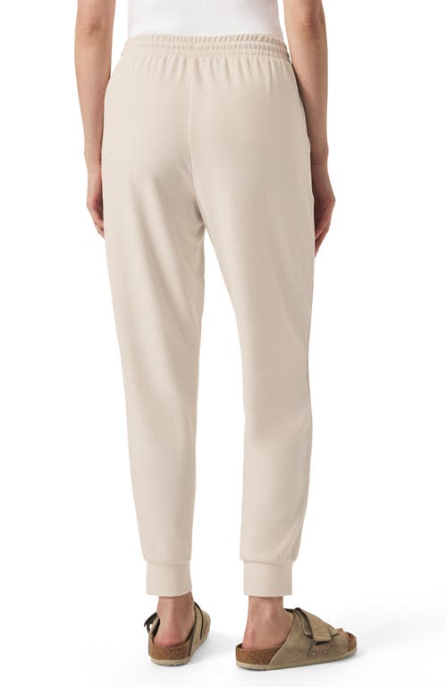 Splendid Tie Waist Waffle Stitch Scuba Joggers In Moonstone