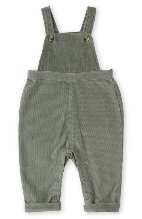 Pehr Organic Cotton Corduroy Overalls In Brown
