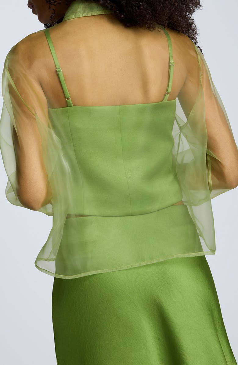Kenneth Cole Sheer Organza Button-Up Shirt, Alternate, color, Cactus Green