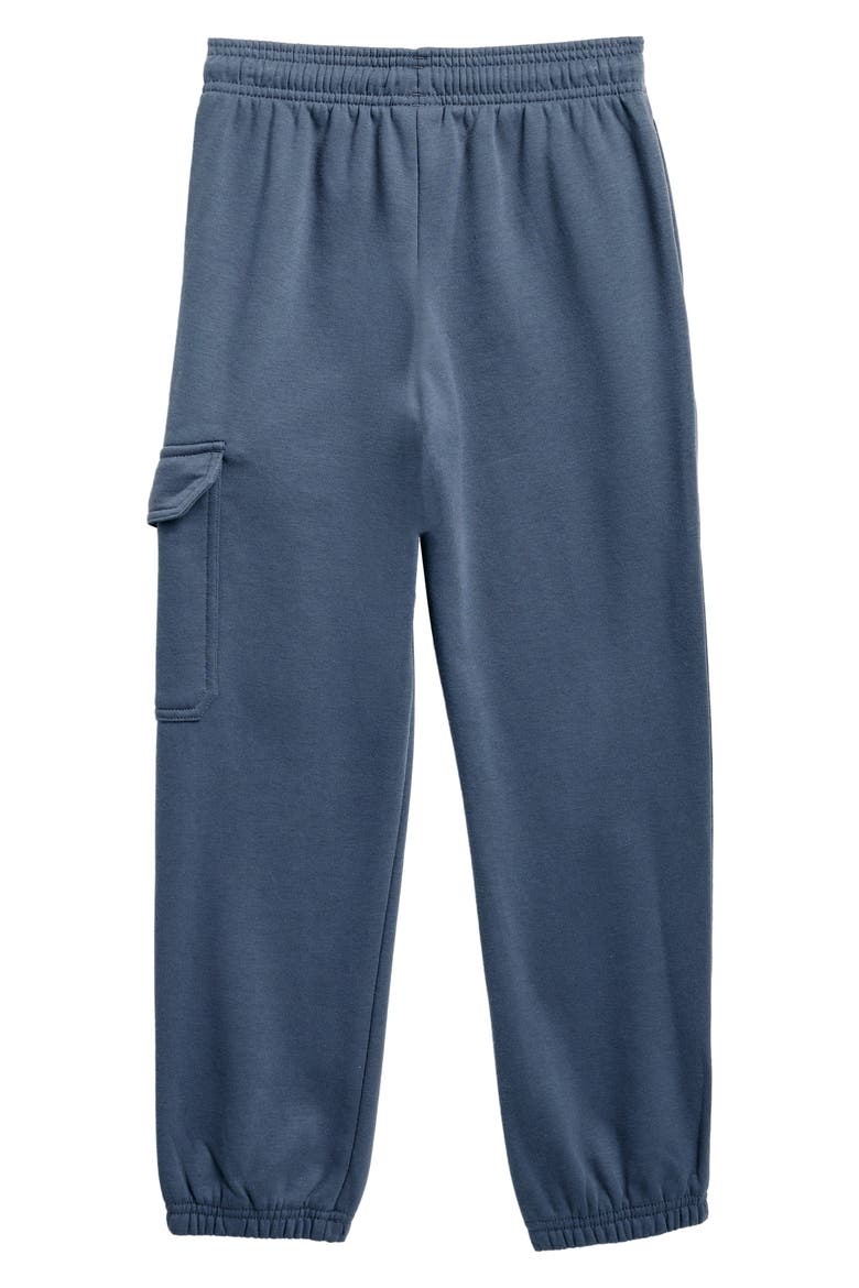Kids' Ode Cargo Joggers, Alternate, color, DOWNPOUR GRAY