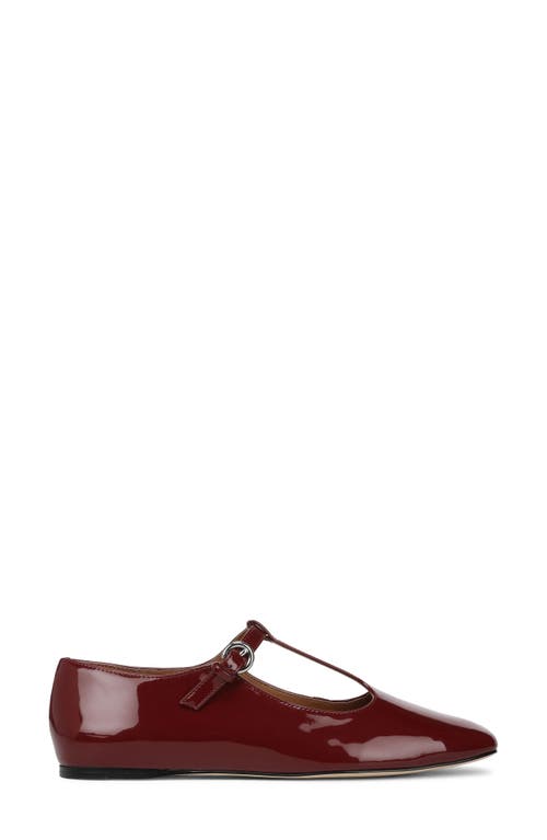 Sarto By Franco Sarto Flexa Astoria T-strap Flat