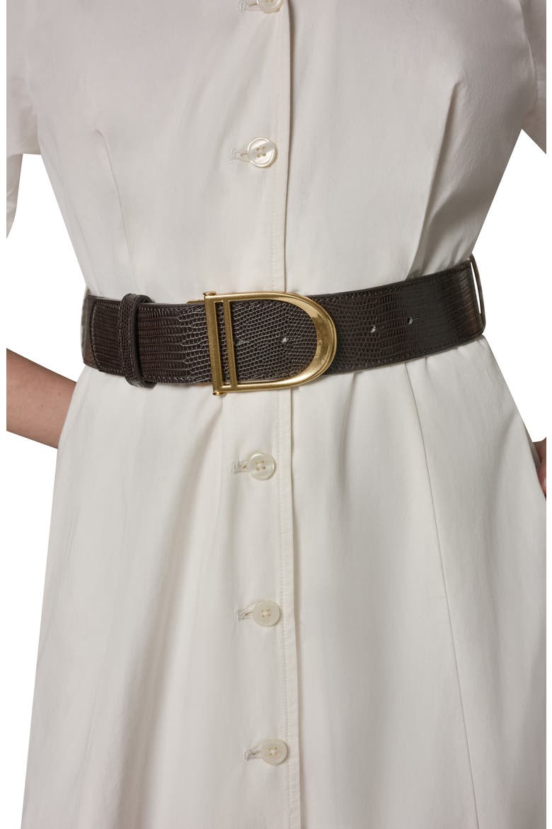 Embroidered Puff Sleeve Belted Cotton Shirtdress, Alternate, color, CREAM/ CREAM