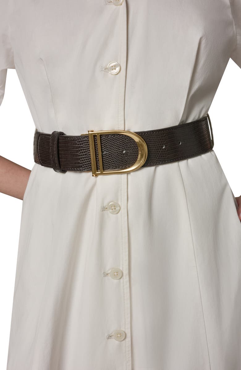 Donna Karan New York Embroidered Puff Sleeve Belted Cotton Shirtdress, Alternate, color, Cream/ Cream