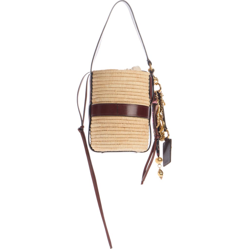 Chloé Kerala 25 Embellished Leather-trimmed Faux Raffia Tote In Dark Ebony