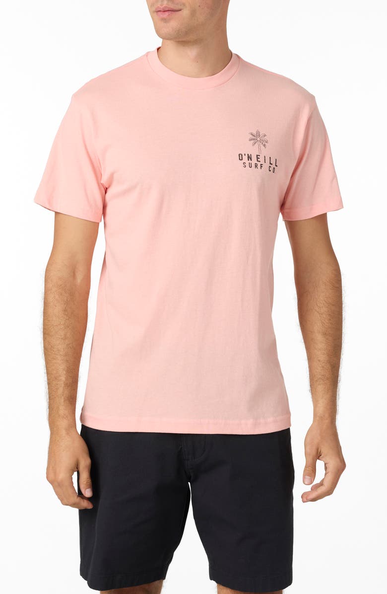 O'Neill Puzzle Piece Graphic T-Shirt, Main, color, 